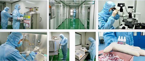 【廈門美博會(huì)展商推薦】亞睿生物科技,締造美與健康的必需品!