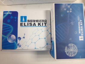 脫氧膽酸鈉溶液 E2高純度 (國產(chǎn)/進(jìn)口)-產(chǎn)品展示-上海信帆生物科技