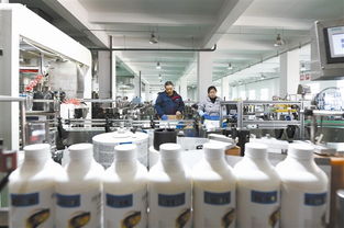 河北樂亭 承接京津產業轉移，打造生物科技聚集高地